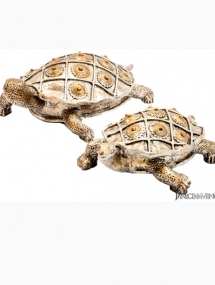 Small and Large Turtle