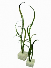 AS-943 Seaweeds on Mactan Stone Base