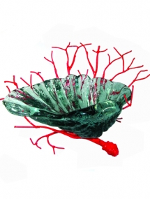 BG-708 Single Glass Shell Server on red coral stand