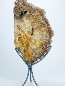 PW-207_Petrified wood mount in a tripod stand